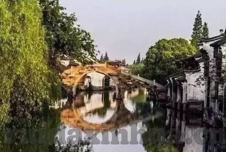 成人免费视频大香蕉-与网络伦理的灰色地带，对成人免费视频大香蕉现象的深思