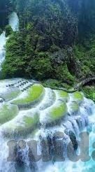 国产a一区二区-国产A一区二区，探索国产动漫的多元化与地域特色