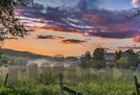麻豆雪千夏视频在线-麻豆雪千夏，网络世界的艺术之约