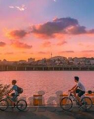日韩麻豆91制片一级毛片-艺术品与现实的模糊界限，从日韩麻豆91制片一级毛片谈起