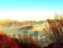 亚洲伦理片-亚洲伦理片，文化、社会与人性探索的细腻笔触
