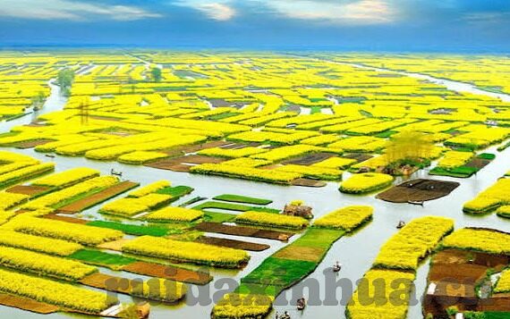 追妻三人行百度百科-追妻三人行，一场情感交织的现代爱情故事